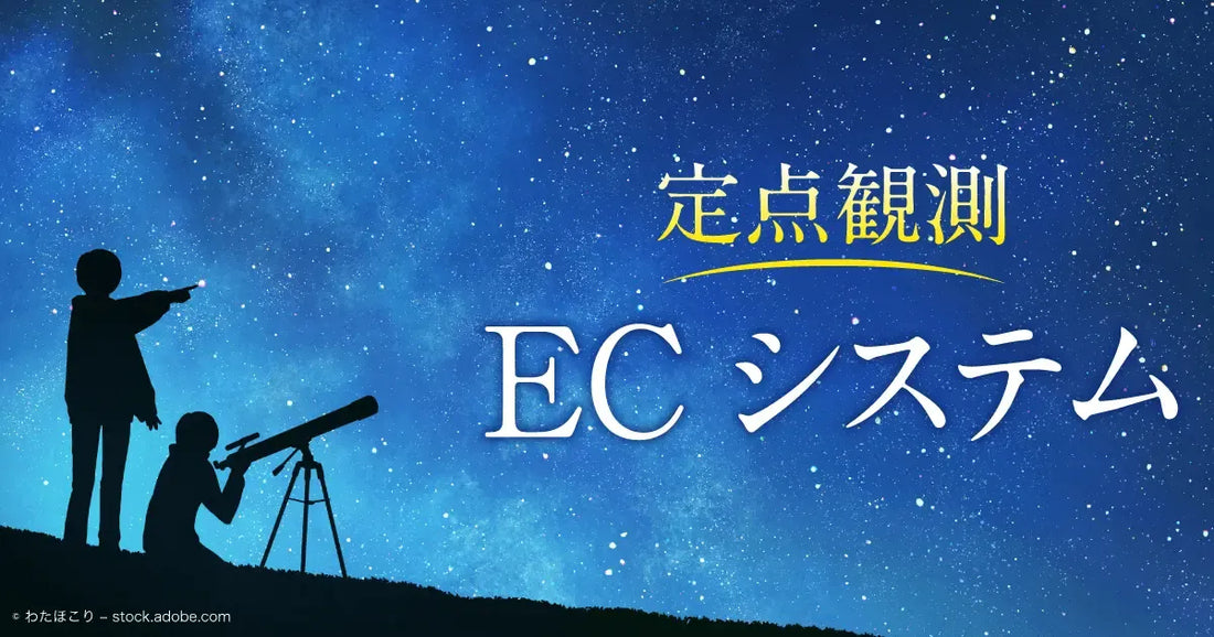 株式会社翔泳社が運営する「ECzine｜定点観測〜ECシステム編〜」においてECカート選定や事業設計について寄稿