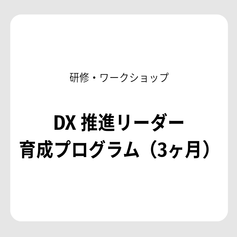 【研修・ワークショップ】DX 推進リーダー育成プログラム（3ヶ月）