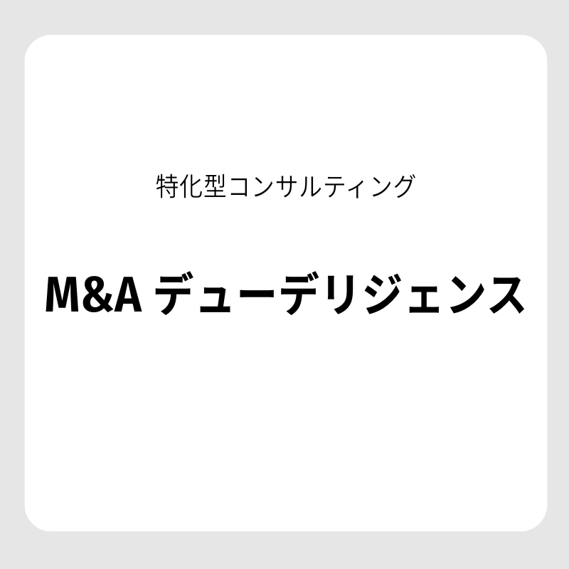 【特化型コンサルティング】M&A デューデリジェンス