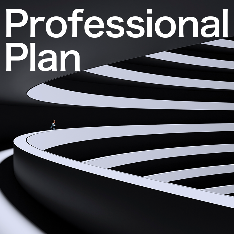 Professional Plan（プロフェッショナルプラン）