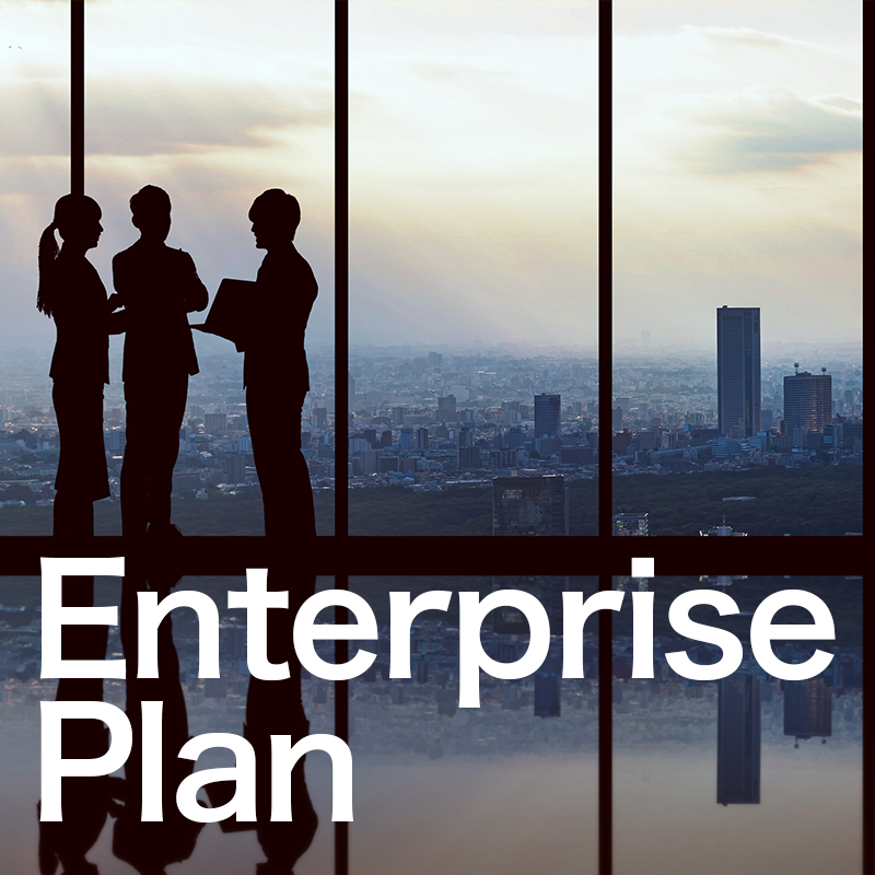 Enterprise Plan（エンタープライズプラン）